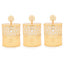 Otantik Home Date Bowl Set - Gold - Tw2007-G