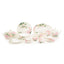 Stechcol Reene Fbc Dinner Set - 85 Pieces - S14182C-Clr-Din85A