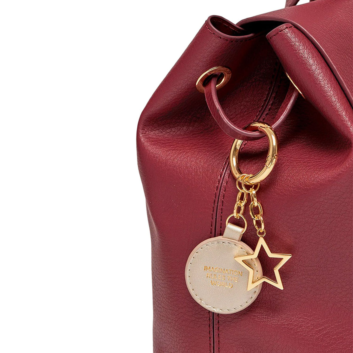 Estella Bartlett Copperfield Drawstring Backpack - Plum With Bag Tag Iridescent And Gold Star Char - Ebp3606